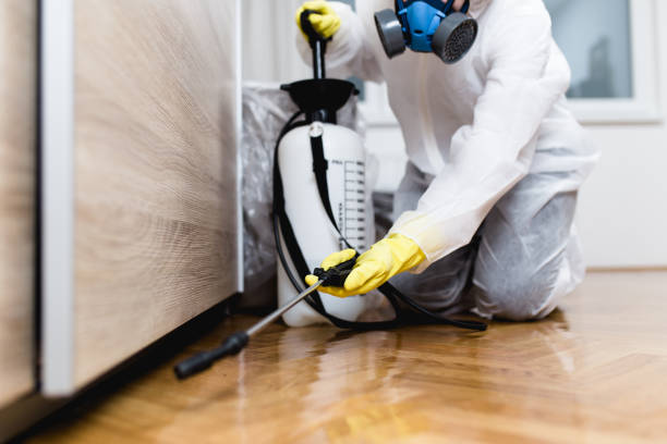 Best Local Pest Control Services  in Wilkshire Hills, OH