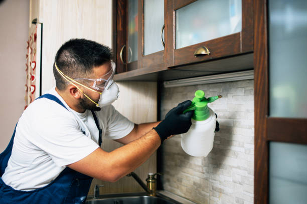 Best Wasp Removal Services  in Wilkshire Hills, OH