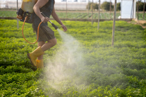 Best Pest Control Near Me  in Wilkshire Hills, OH