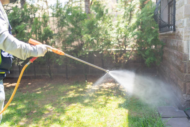 Best Local Pest Control Services  in Wilkshire Hills, OH