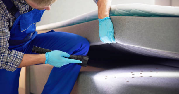 Best Rat Extermination Near Me  in Wilkshire Hills, OH