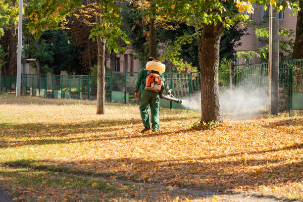 Insect Control in Wilkshire Hills, OH