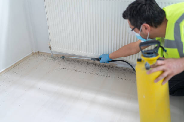 Best Pest Removal Services  in Wilkshire Hills, OH